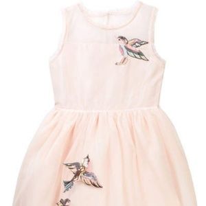 Zunie Mesh Illusion Dress